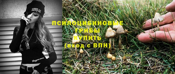 гашик Абинск