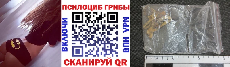 Псилоцибиновые грибы прущие грибы hydra онион Усть-Лабинск